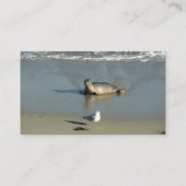 Harbour Seal in La Jolla California Visitekaartje (Achterkant)