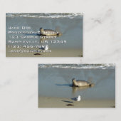 Harbour Seal in La Jolla California Visitekaartje (Voorkant / Achterkant)