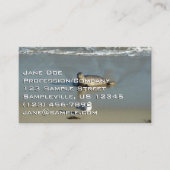 Harbour Seal in La Jolla California Visitekaartje (Voorkant)