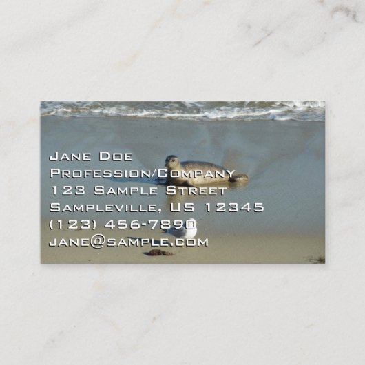 Harbour Seal in La Jolla California Visitekaartje (Voorkant)