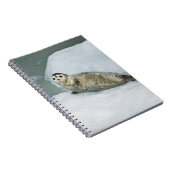 Harbour Seal Notitieboek (Rechterzijde)