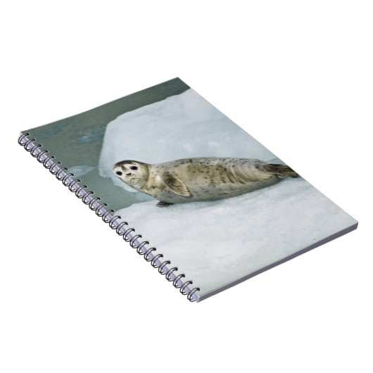 Harbour Seal Notitieboek (Rechterzijde)