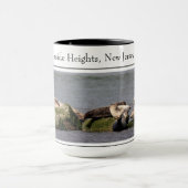 Harbour Seals, Island Beach State Park Mok (Midden)