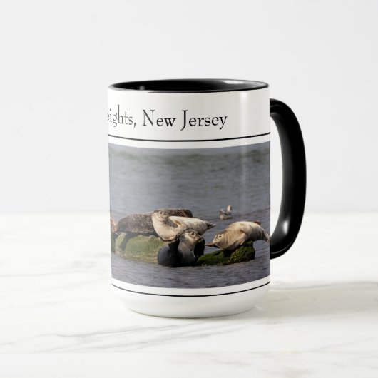 Harbour Seals, Island Beach State Park Mok (Voorkant rechts)