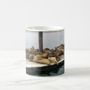 Harbour Seals, Morro Bay, Californië Koffiemok