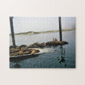 Harbour Seals, Morro Bay, Californië Legpuzzel (Horizontaal)