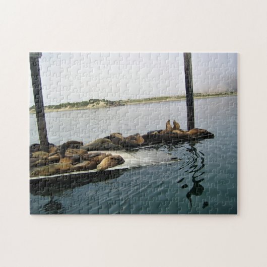 Harbour Seals, Morro Bay, Californië Legpuzzel (Horizontaal)