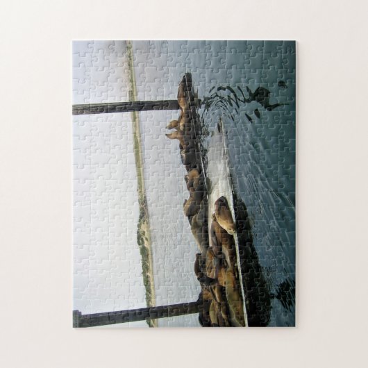 Harbour Seals, Morro Bay, Californië Legpuzzel (Verticaal)