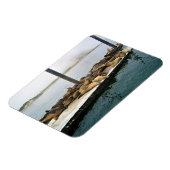 Harbour Seals, Morro Bay, Californië Magneet (Linkerzijde)