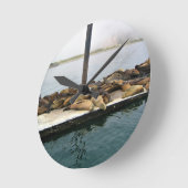 Harbour Seals, Morro Bay, Californië Ronde Klok (Hoek)