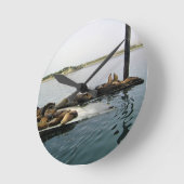 Harbour Seals, Morro Bay, Californië Ronde Klok (Hoek)