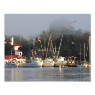 Harbour Shrimp Boats at Morning Foto Afdruk