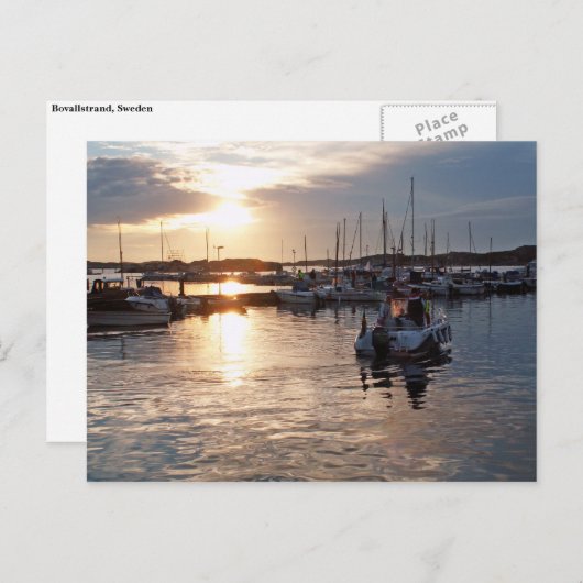 Harbour sunset briefkaart (Voorkant / Achterkant)