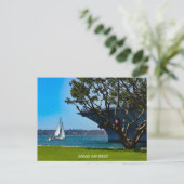 Harbour Uitzichten - Sailing San Diego Briefkaart (Staand voorkant)