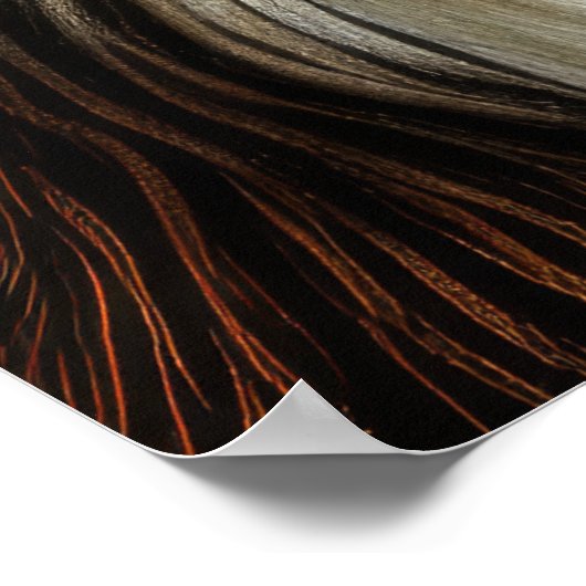 Hard Pastel Drawing Terrier Poster (Hoek)