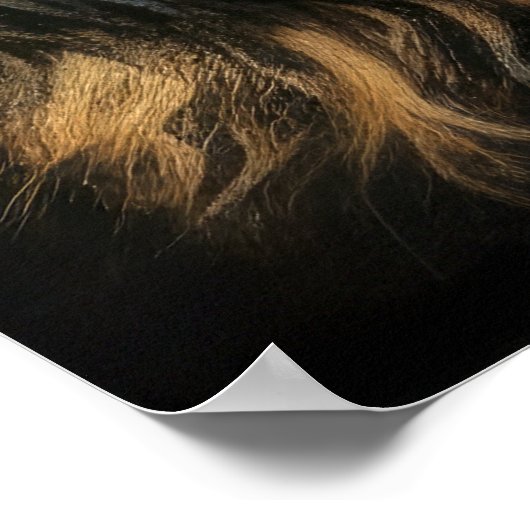 Hard Pastel Tekening Cocker Spaniel Poster (Hoek)