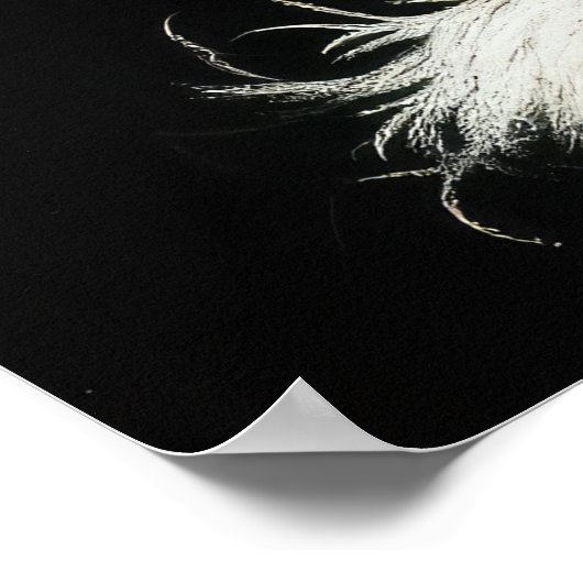 Hard Pastel Tekening Koning Charles Cavalier Spani Poster (Hoek)