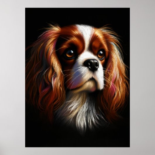 Hard Pastel Tekening Koning Charles Cavalier Spani Poster (Voorkant)