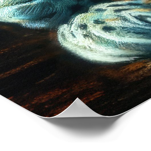 Hard Pastel Tekening Leopard II Poster (Hoek)