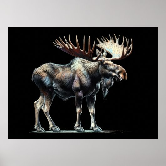 Hard Pastel Tekening Moose Poster (Voorkant)