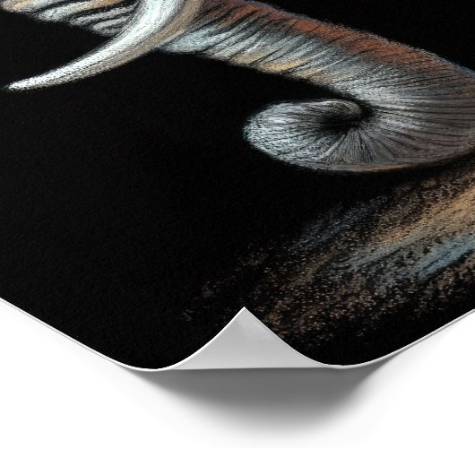 Hard Pastel Tekening Olifant Poster (Hoek)