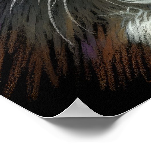 Hard Pastel Tekening Witte Kat Poster (Hoek)