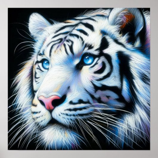 Hard pastel tekening witte tijger poster (Voorkant)