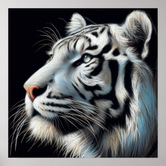 Hard pastel tekening witte tijger poster (Voorkant)