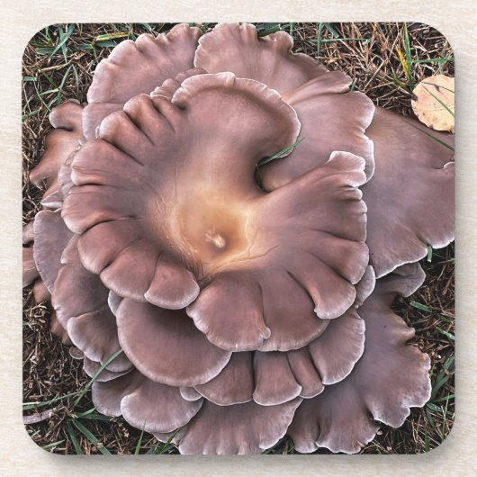 Hard plastic coaster Fungi Bier Onderzetter (Voorkant)
