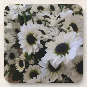 Hard Plastic Onderzetter Set - Zwart & Wit Daisies