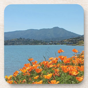 Hard plastiek onderzetter set Mt Tamalpais Poppies