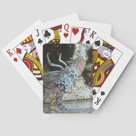 Hard Shelled Deck van Speelkaarten (Achterkant)