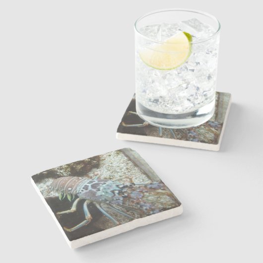 Hard Shelled Stone Onderzetter (Zijkant)