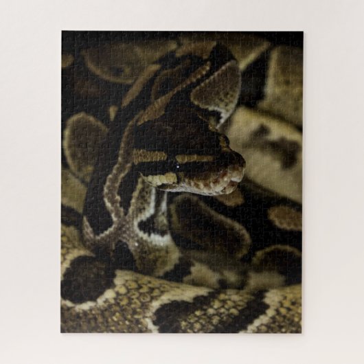 Hard Snake Puzzle Legpuzzel (Verticaal)