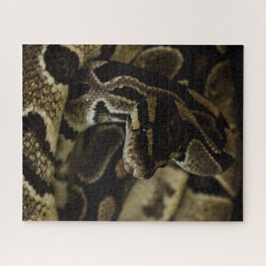 Hard Snake Puzzle Legpuzzel (Horizontaal)