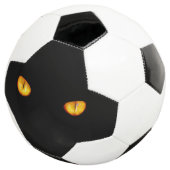 Hard Stare van Golden Bombay Cat Eyes Voetbal (Drie kwart)
