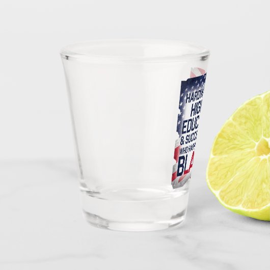 Hard werken, hoog opgeleid en succesvol... shot glas (Links)