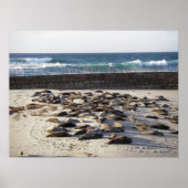 Harde dag in het surf poster (Voorkant)