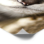 Harde dag poster (Hoek)