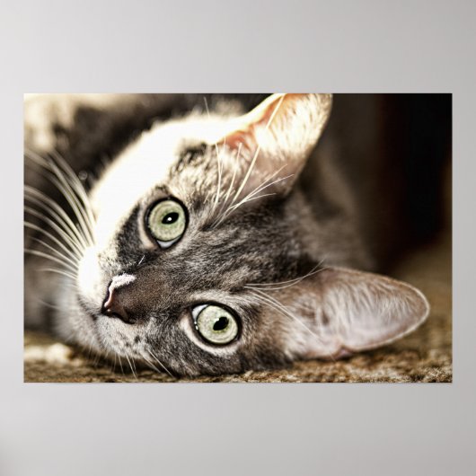 Harde dag poster (Voorkant)