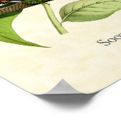 Harde foto van Hermit Hummingbird Art Poster (Hoek)