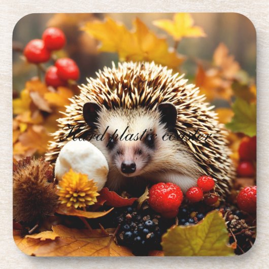 Harde plastic onderzetter (Voorkant)