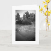 HARDE REGEN KAART (Gele Bloem)