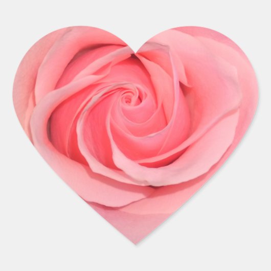 Harde roze roze Stickers (Voorkant)