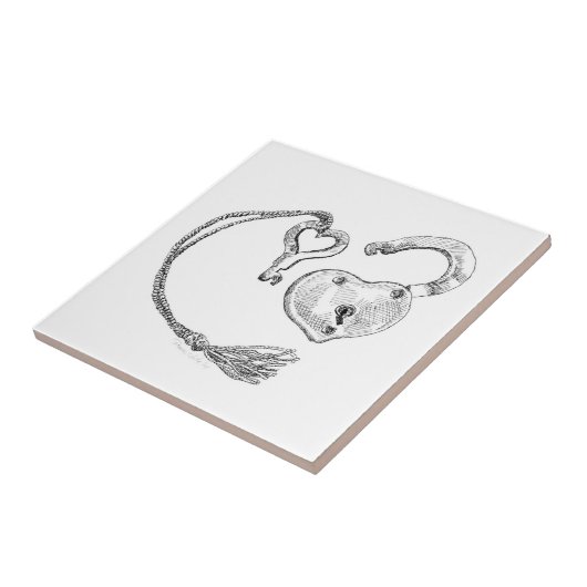 Harde vergrendeling en sleutel tegeltje (Zijkant)