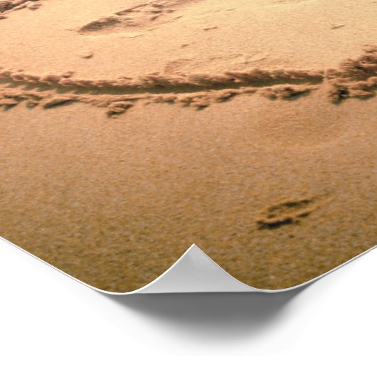 Harder in het zand poster (Hoek)