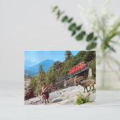 Harder Kulm Funicular Railway, Interlaken Briefkaart (Staand voorkant)