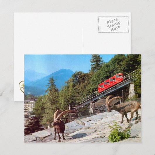 Harder Kulm Funicular Railway, Interlaken Briefkaart (Voorkant / Achterkant)