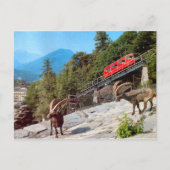 Harder Kulm Funicular Railway, Interlaken Briefkaart (Voorkant)