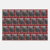 Harder struikelen dan Joe Biden Inpakpapier Vel (Voorkant 2)